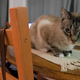 Image for article titled Fujifilm X-T1 Review: Feast for the Eyes, Frustration for the Fingers